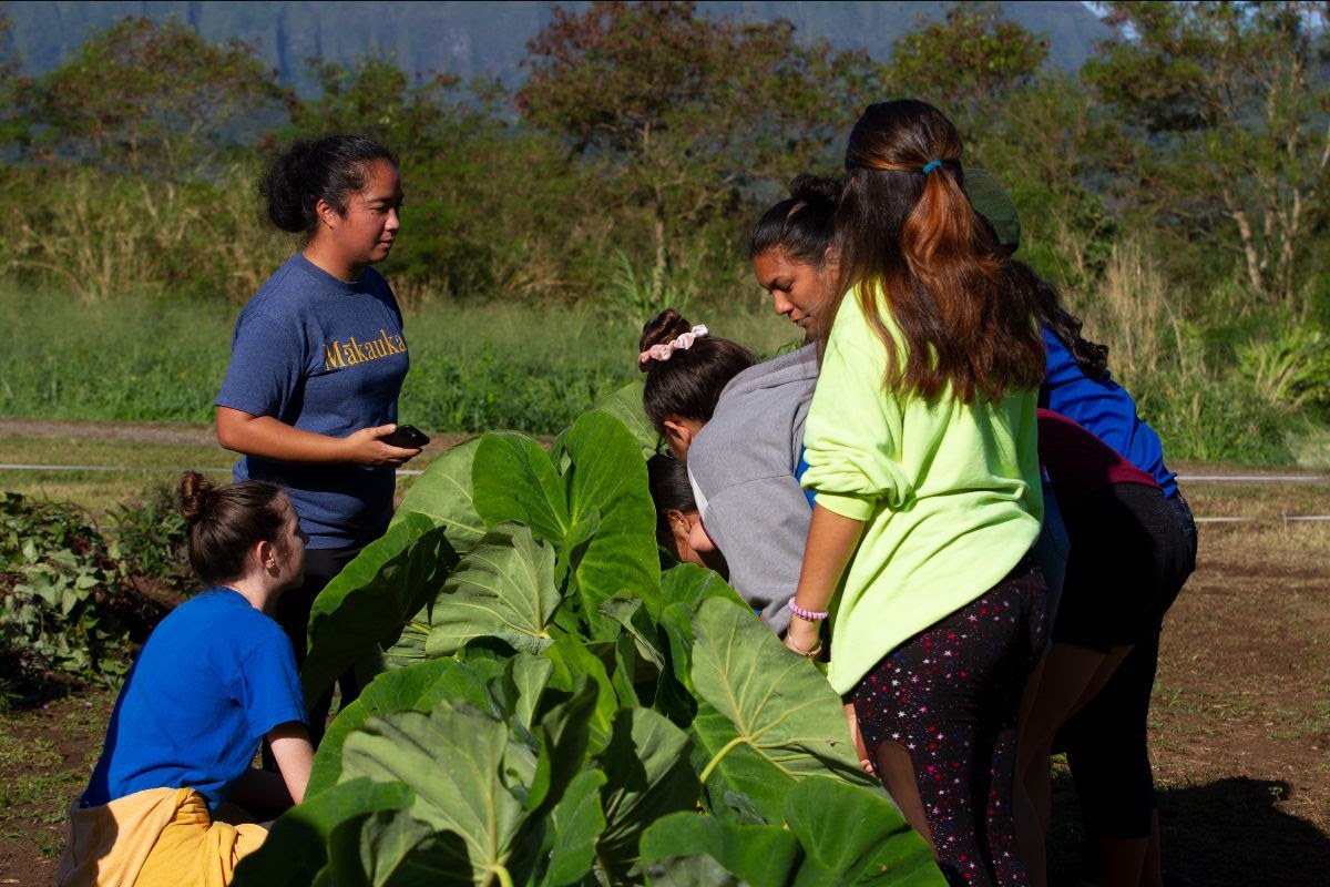 The USDA Awards Two Charter Schools Farm to School Grants